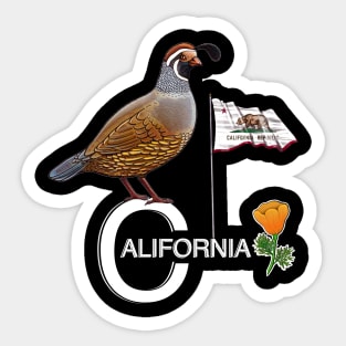 California quail state bird Californian poppy flowers Sticker